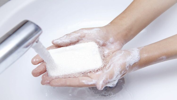 Wild Natural Deodorant and a Variety of Natural Soap Bars