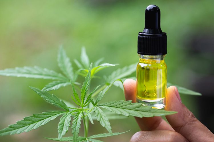 5 benefici dell’olio di CBD per la salute