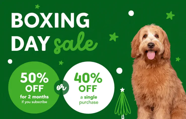 Boxing Day Sale at Yumove: 50% Off or More!