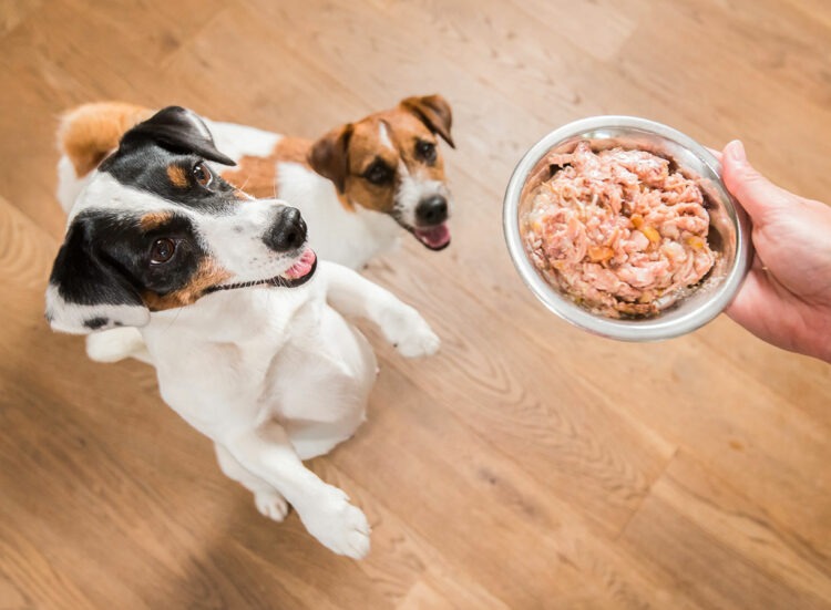 What is the purpose of wet dog food?