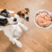 What is the purpose of wet dog food?