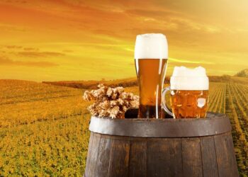 What is the purpose of a beer keg?