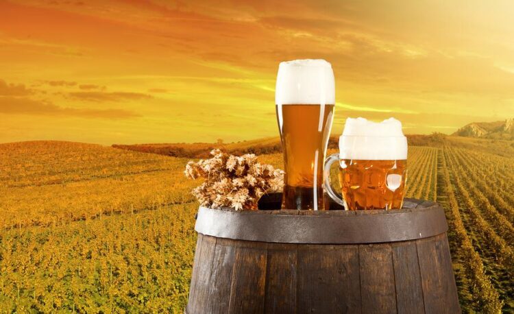 What is the purpose of a beer keg?