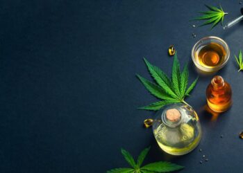 Olio di canapa CBD da Enecta: dove trovare un prodotto di altissima qualità