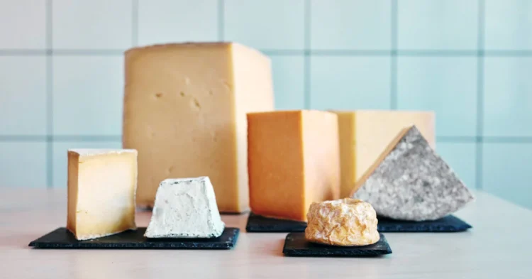 What is different about vegetarian cheese?