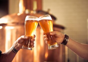 What are the four most popular beers?