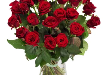 Verwöhnen Sie sich selbst oder jemand Besonderen mit den Luxusrosen von Euroflorist