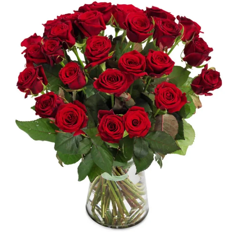 Verwöhnen Sie sich selbst oder jemand Besonderen mit den Luxusrosen von Euroflorist