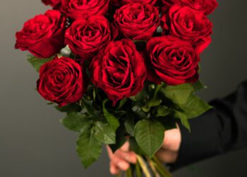 Was ist das Besondere an roten Rosen?