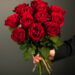 Was ist das Besondere an roten Rosen?
