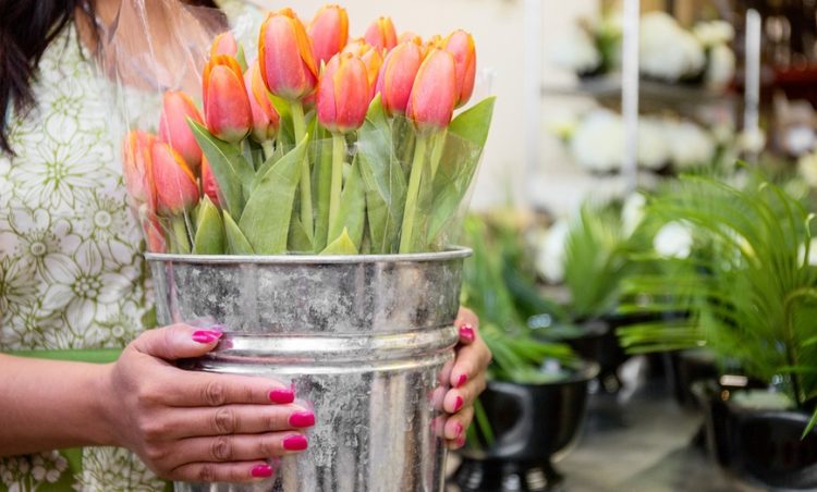 Flowers And Plants In Pots At Prestige flowers