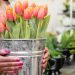 Flowers And Plants In Pots At Prestige flowers