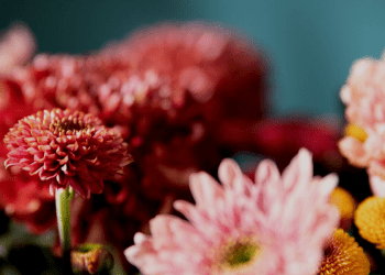 Ein Blick auf die meistverkauften Blumen von Euroflorist: Was macht sie so beliebt?