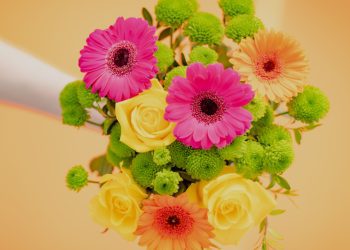 Mehr als Rosen: Einzigartige Blumengeschenke für jeden Anlass