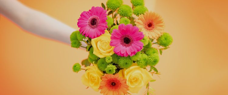 Mehr als Rosen: Einzigartige Blumengeschenke für jeden Anlass