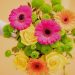 Mehr als Rosen: Einzigartige Blumengeschenke für jeden Anlass