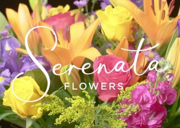 Why do we love flowers?