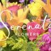 Why do we love flowers?