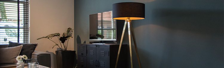 Finden Sie die perfekte Beleuchtung für Ihr Zuhause bei Lampenundleuchten