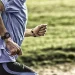 What is the best sport watch for men?