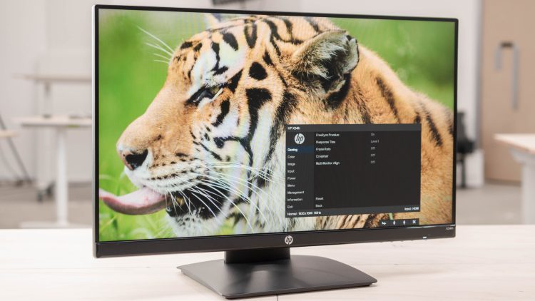 Five of 2023’s Finest HP Displays