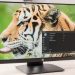 Five of 2023’s Finest HP Displays