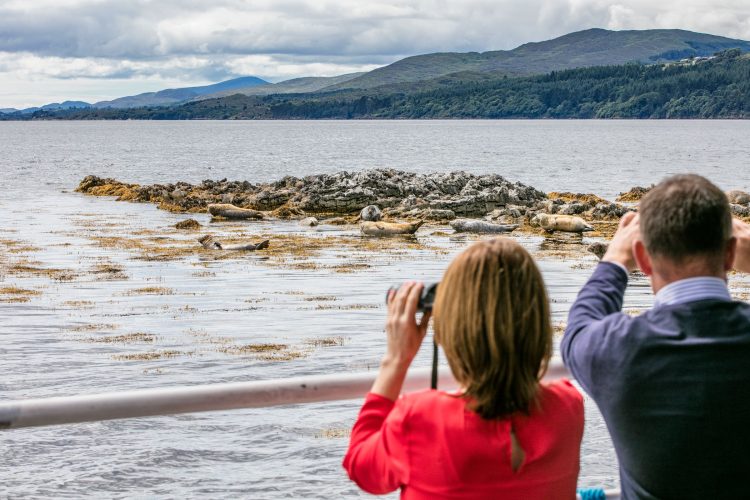 The best holiday homes in Kerry, Ireland