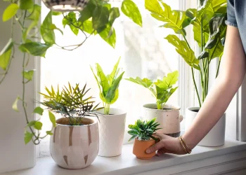 Forever Green: Embrace the Beauty of Artificial Plants