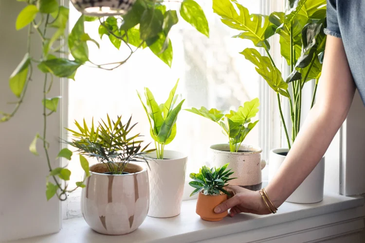 Forever Green: Embrace the Beauty of Artificial Plants