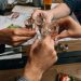 MySpirits.eu: Erhöhen Sie Ihr Erlebnis mit Exquisitem Vodka