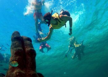 Explore the Underwater World: Snorkeling Boat Trip in Cancun
