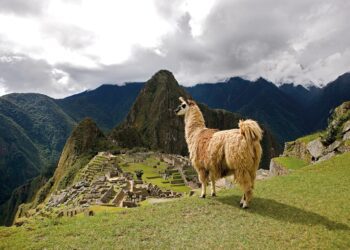 5 experiencias inolvidables para reservar con GetYourGuide