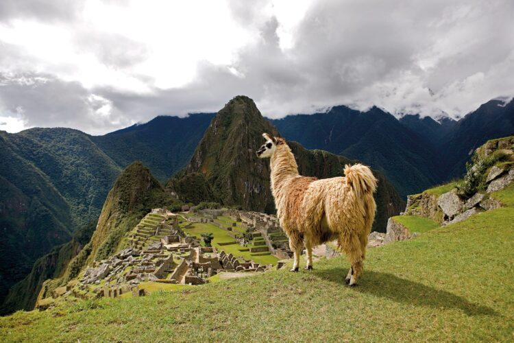 5 experiencias inolvidables para reservar con GetYourGuide