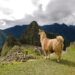 5 experiencias inolvidables para reservar con GetYourGuide