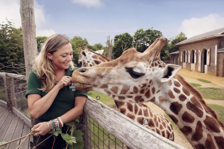 Uncovering the Diverse Initiatives of the Zoological Society of London