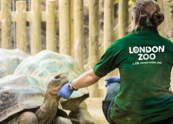Conservation Heroes: Exploring the Impact of the ZSL
