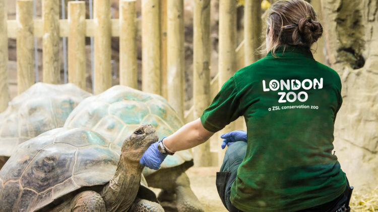 Conservation Heroes: Exploring the Impact of the ZSL