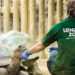 Conservation Heroes: Exploring the Impact of the ZSL