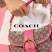 WELOVEBAGS: Ihr ultimatives Ziel für stylische und funktionelle Taschen!