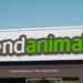 Mantenga a sus mascotas sonriendo: Los mejores productos de verano de Tiendanimal