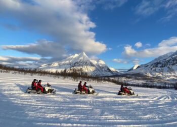 Safari en motoneige dans les Alpes de Lyngen : Expérience inoubliable avec un guide depuis Tromsø