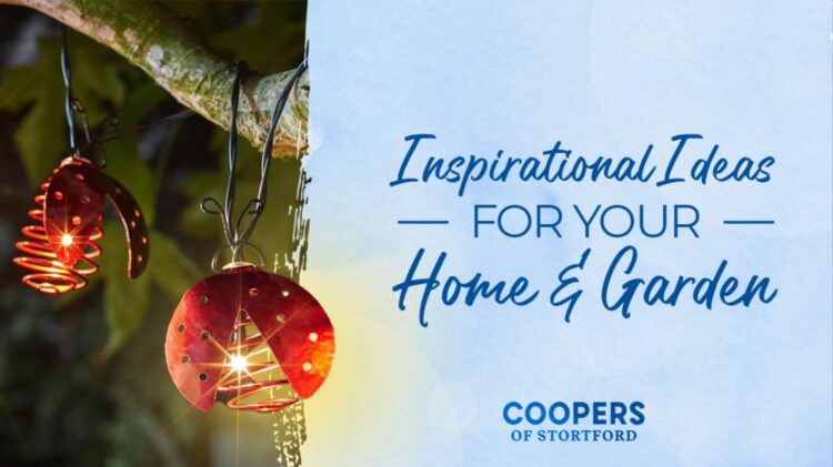 Coopers of Stortford: Innovative Solutions for a Better Home