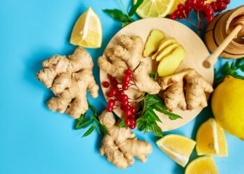 Stärken Sie Ihr Immunsystem natürlich mit Biotikon