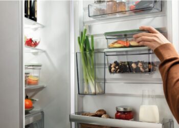 Genießen Sie den Sommer und sparen Sie: Bis zu 25% Rabatt auf Electrolux-Produkte