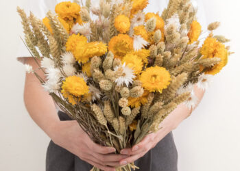 L&rsquo;élégance éternelle : Dévoiler les bouquets de fleurs séchées de Bergamotte