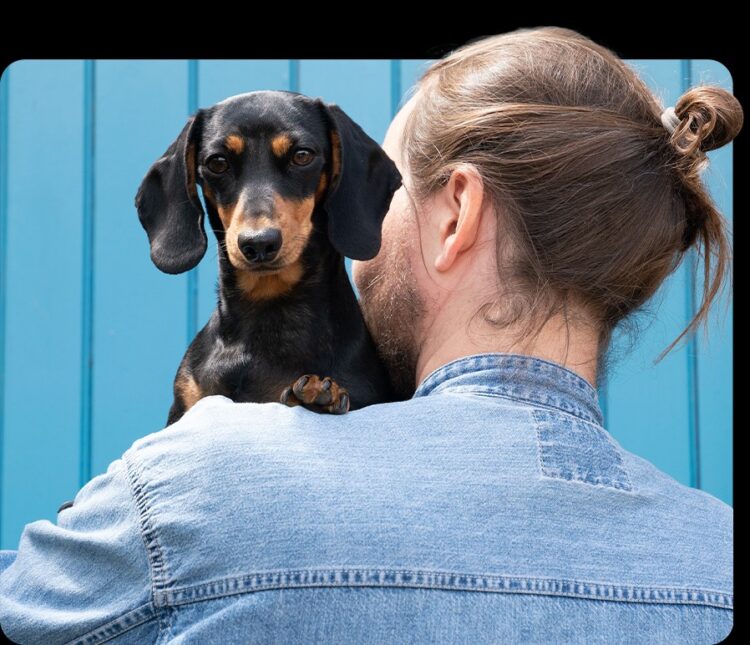 Yumove: The Game-Changer for Happy and Healthy Pets