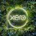 Streamline Your Business with Xero!