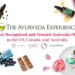 The Ayurveda Experience Bestsellers: Bringing Authentic Ayurvedic Self-Care Products to Your Doorstep