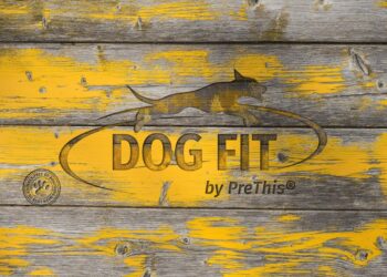 Enthüllung der Vitalität von Hunden: DOG FIT by PreThis® – Ganzheitliche Gesundheit für Ihren vierbeinigen Freund