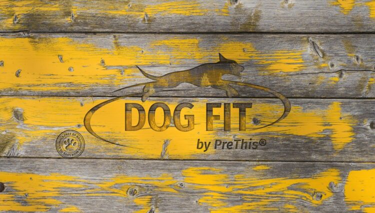 Enthüllung der Vitalität von Hunden: DOG FIT by PreThis® – Ganzheitliche Gesundheit für Ihren vierbeinigen Freund